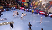 Skrót meczu PSG – Telekom Veszprem w 14. kolejce fazy grupowej Ligi Mistrzów