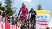 Nairo Quintana wspomina wspinaczkę na Monte Zoncolan podczas Giro d&#039;Italia 2014