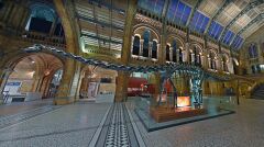 Muzeum Historii Naturalnej w Londynie. Słynny dinozaur &quot;Dippy&quot;