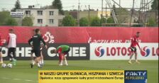 Pierwszy trening piłkarzy reprezentacji Polski w Opalenicy