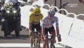 Pogacar i Vingegaard na mecie 14. etapu Tour de France	