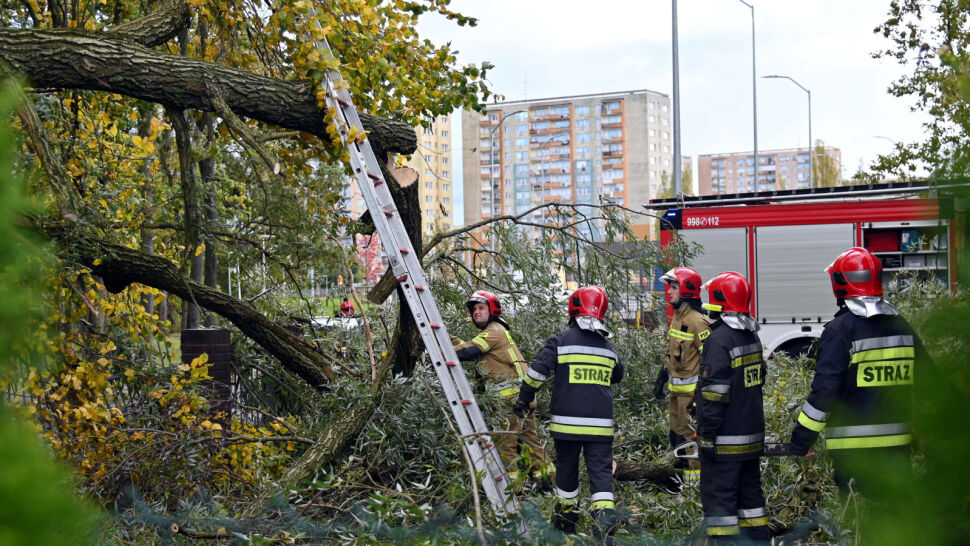 Gwałtowne wichury nad Polską. Tysiące interwencji strażaków, nie żyją cztery osoby