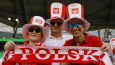 Polscy kibice świętują zwycięstwo. 